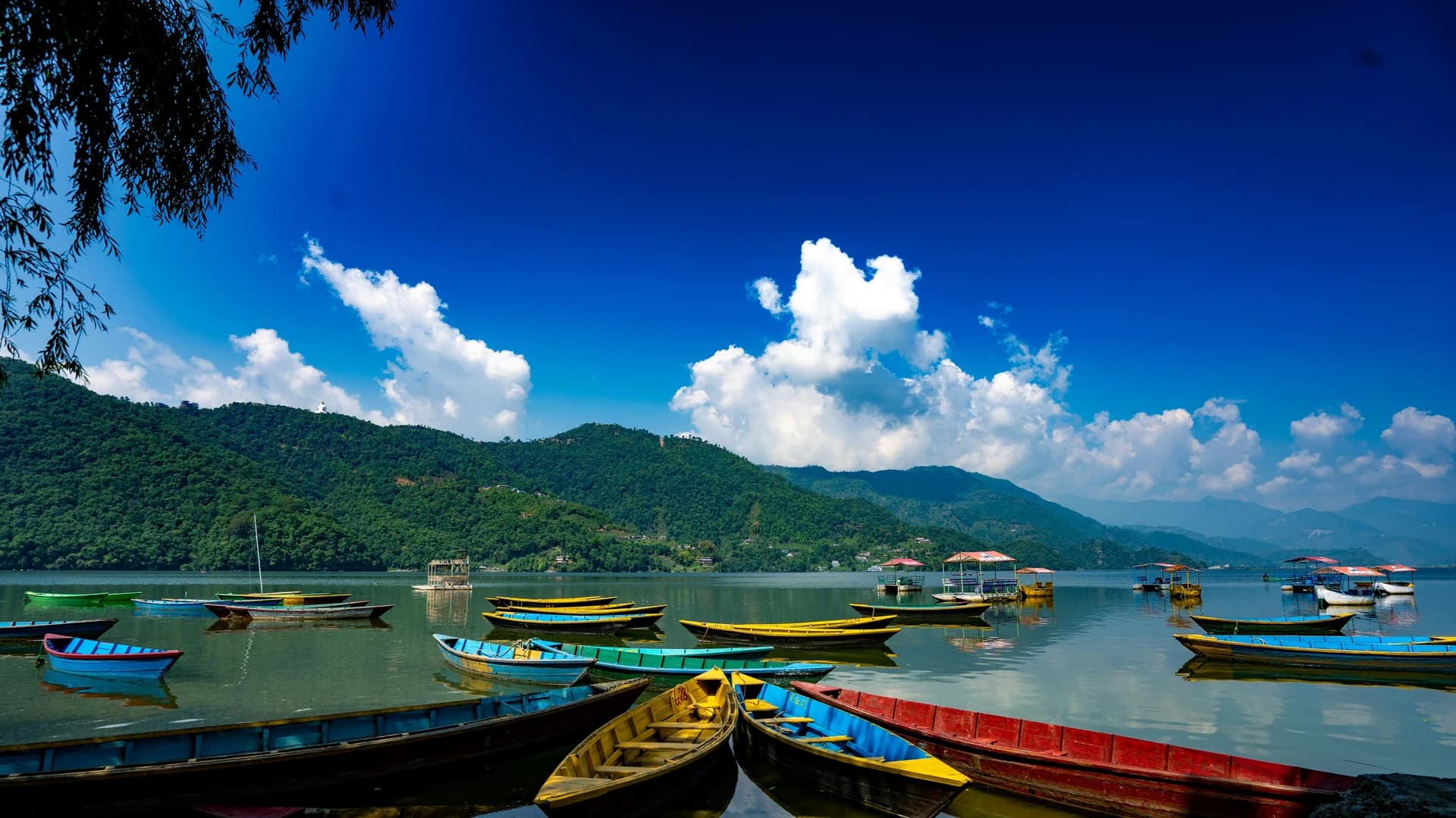 Your Gateway to Global Adventures
