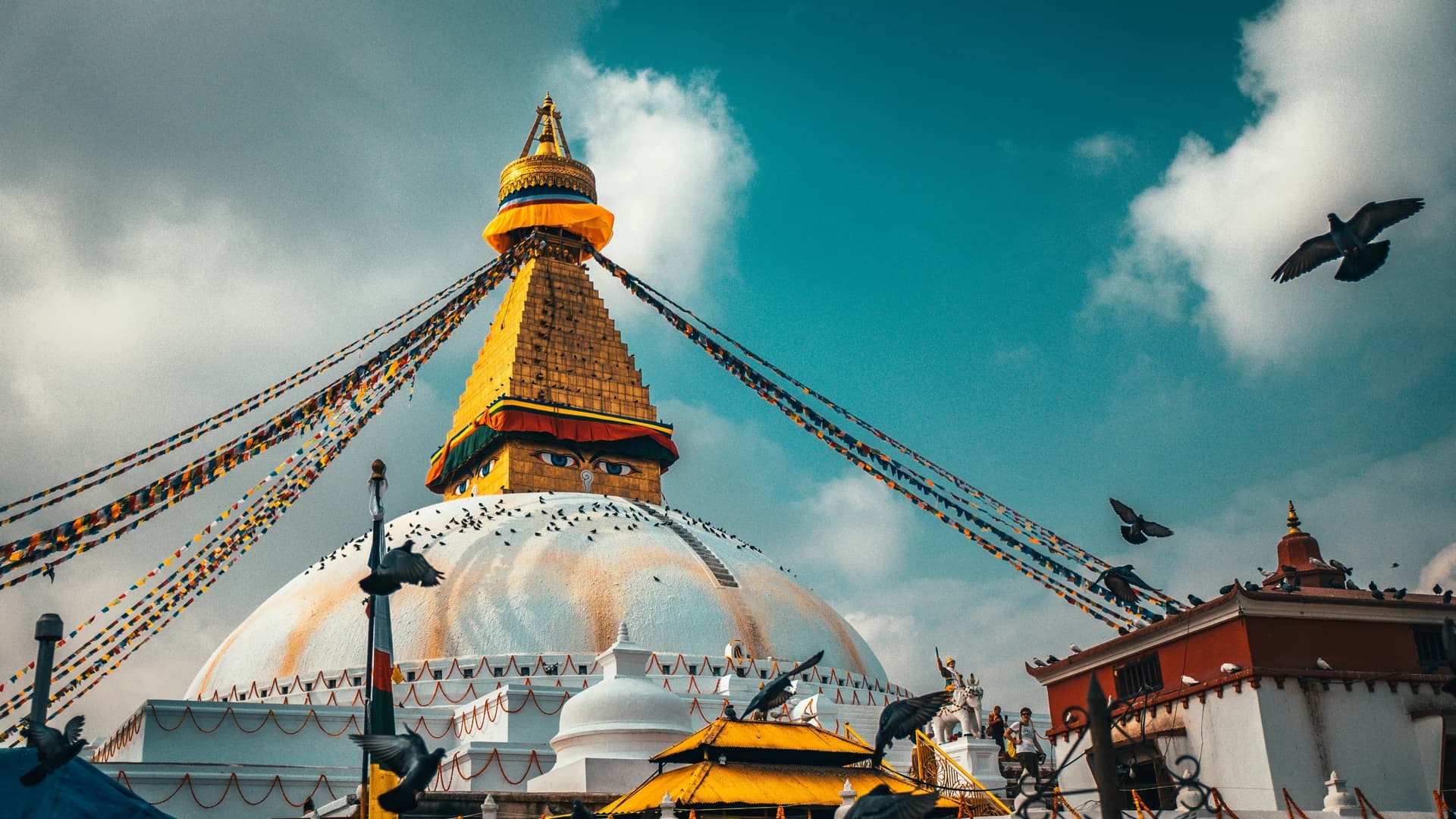 Your Gateway to Global Adventures