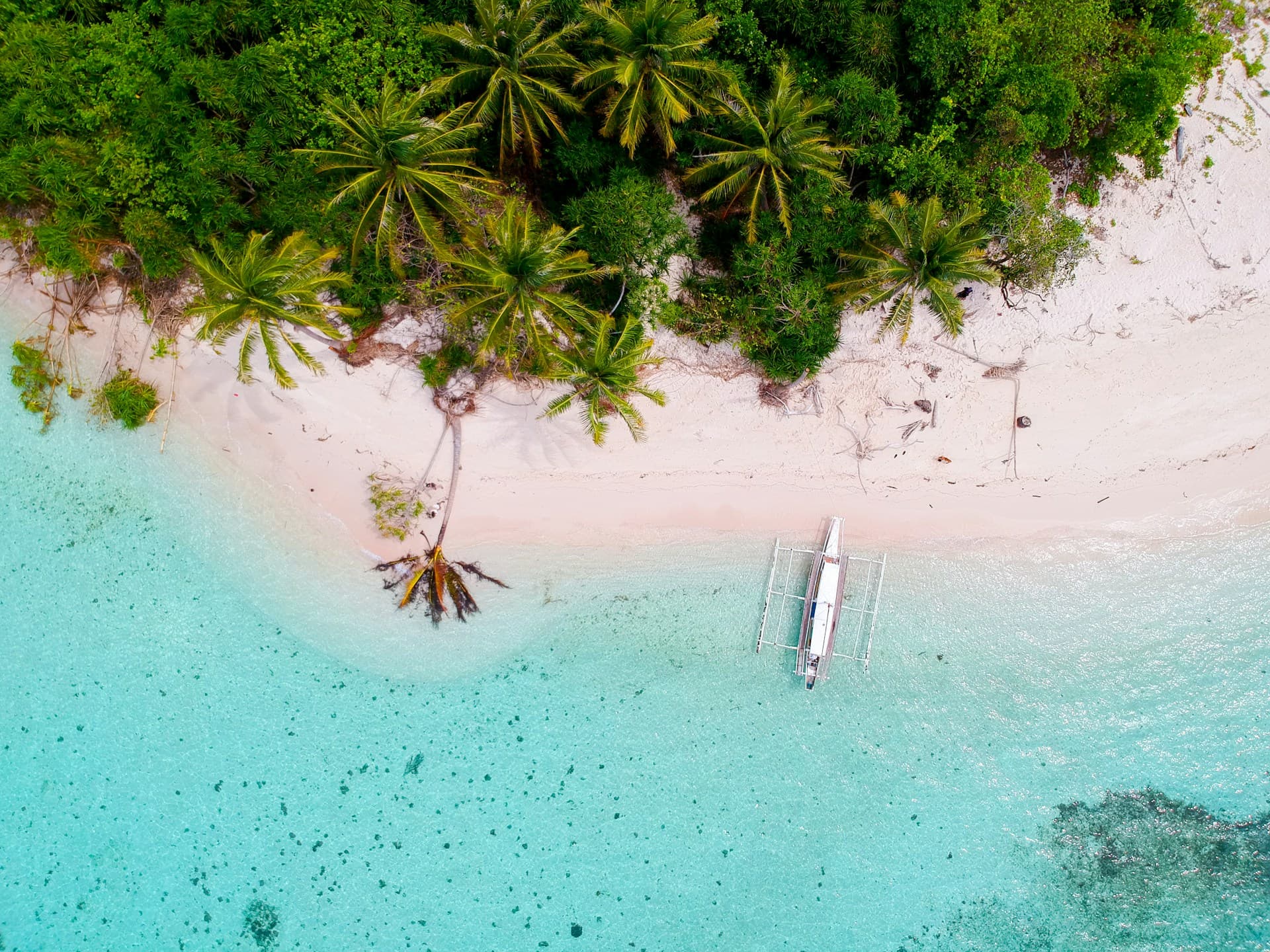 Holiday packages